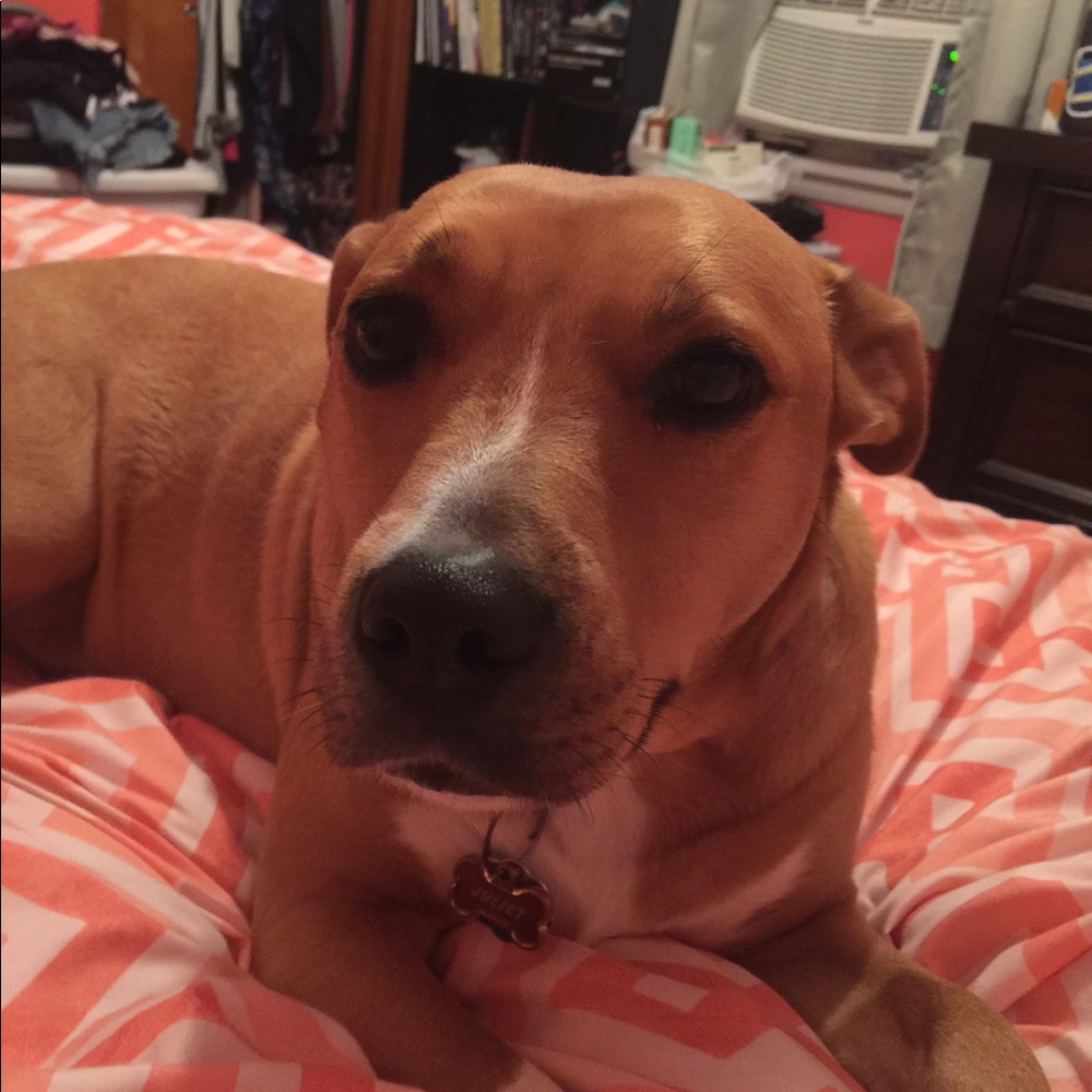 Meet your Posher, Lexi